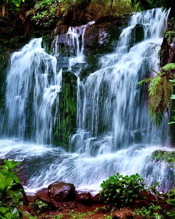 Novo – Članki o Živi Vodi